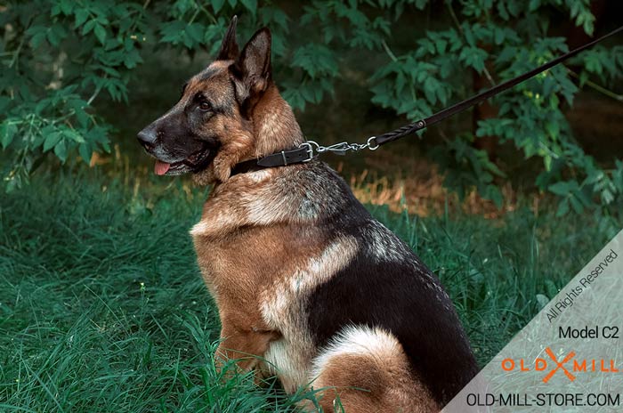 1 Inch Leather Dog Collar for German Shepherd