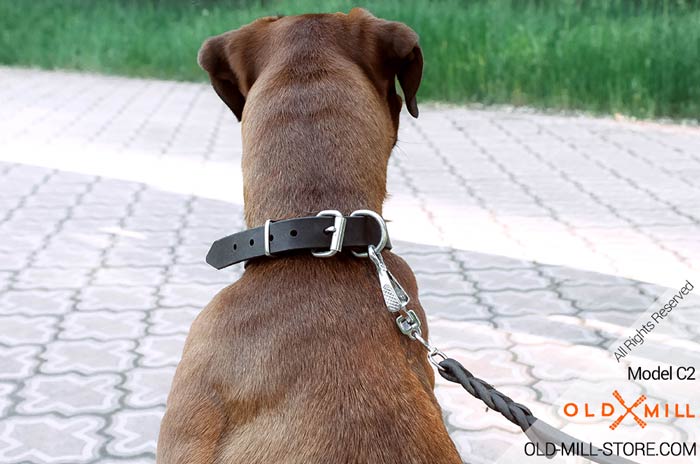 Boxer Collar with D ring