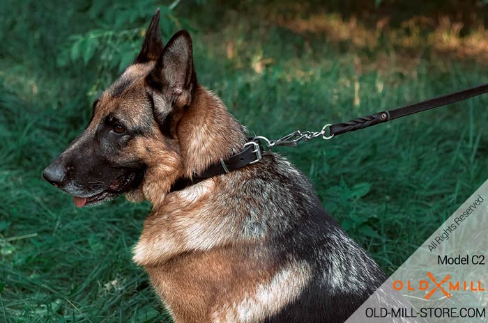 German Shepherd Classic Collar