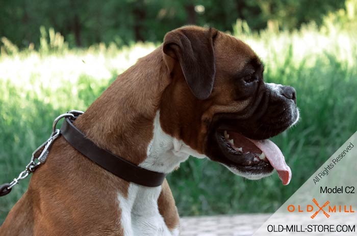 Soft Leather Collar  for Boxer