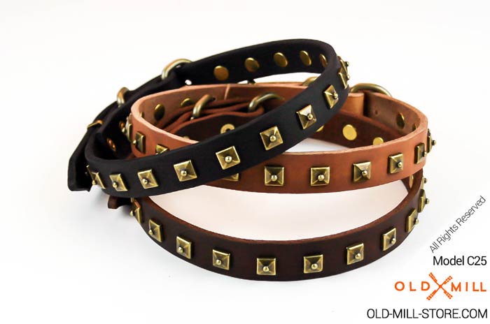 1-inch-wide-leather-dog-collar-brass-studs