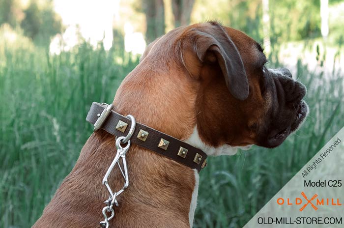 Handmade Dog Collar Leather Decorated with Square Studs for Boxer