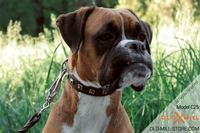 Studded Leather Boxer Collar