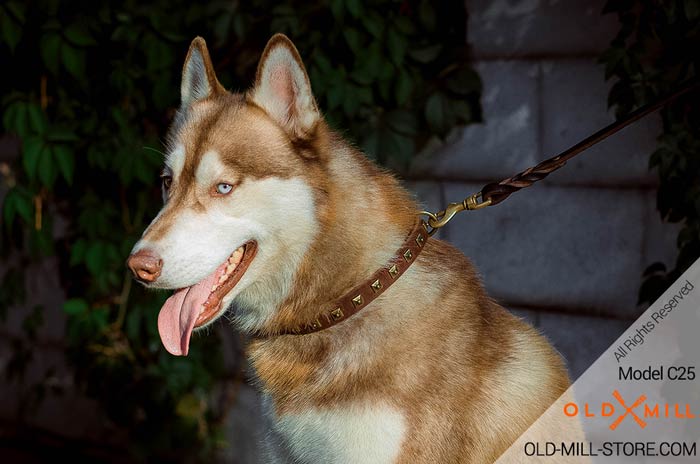 Sudded Leather Husky Collar with a Row of Old Brass Studs