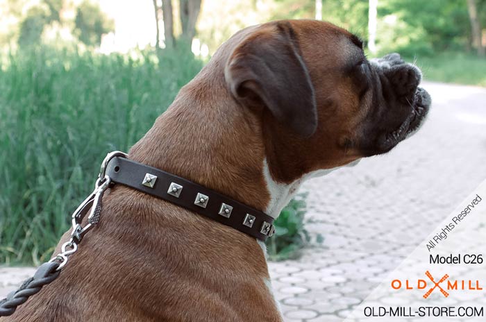 1 inch wide Leather Dog Collar for Boxer