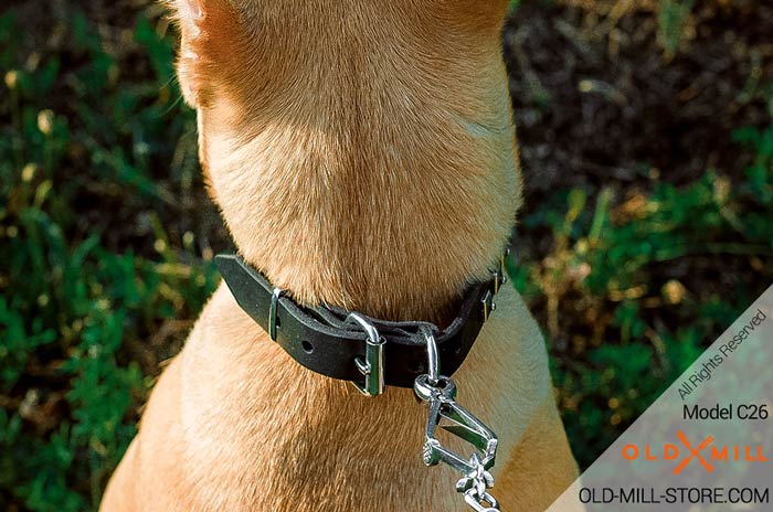 Studded Leather Pibull Collar