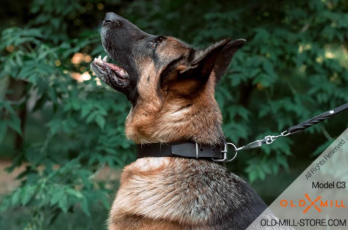 Extra Strong Collar for German Shepherd 