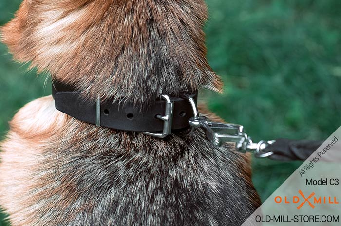 Buckle Collar with D-Ring for Leash