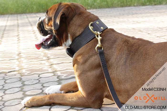 2-ply Leather Dog Collar with D ring for Boxer