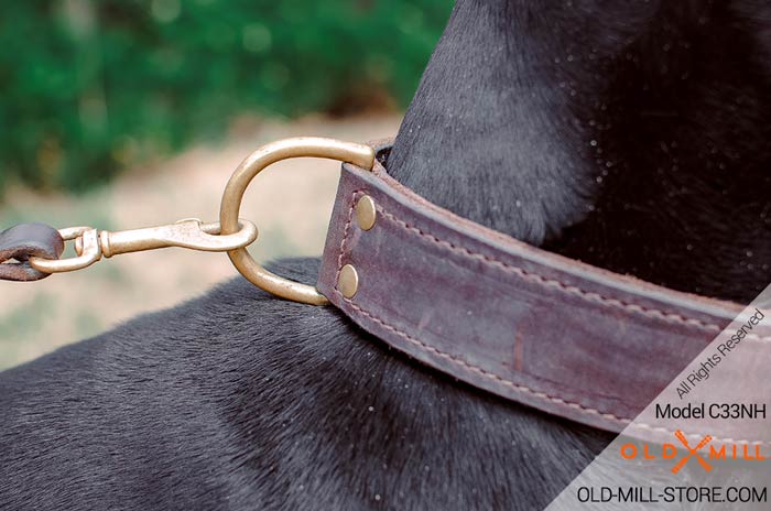 2ply leather dog Collar
