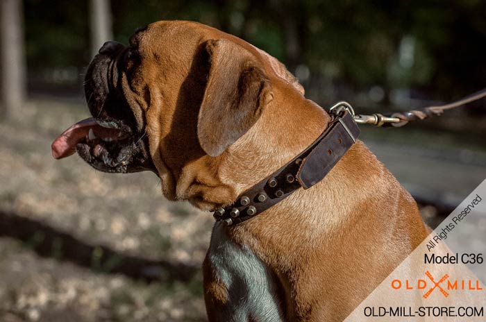  Handmade Leather Dog Collar with D-Ring for Leash Attachment