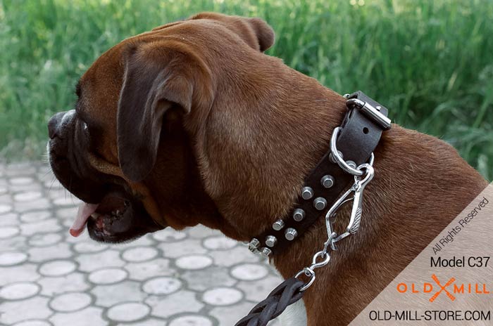 Boxer Leather Dog Collar with D-ring for leash attachment