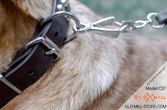 Black Leather Collar for Cane Corso