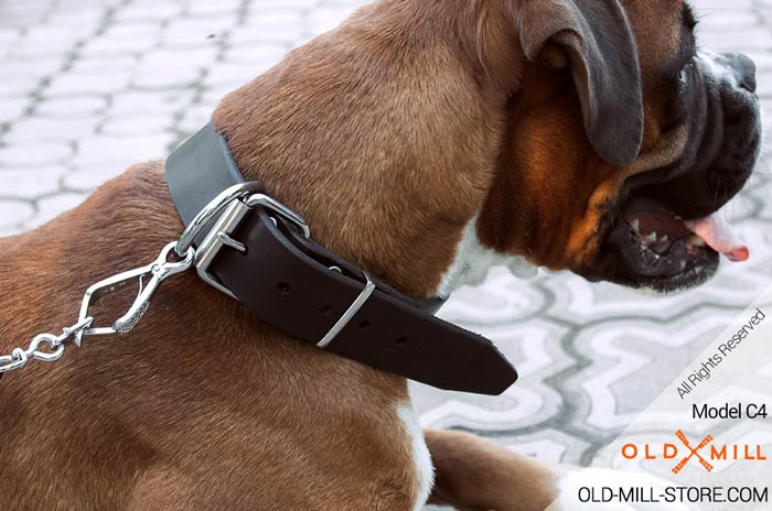 1.5 inch Wide Big Dog Collar