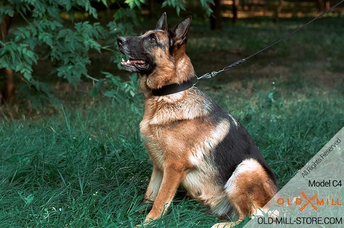 1.5 inch Wide Big Dog Collar for German Shepherd