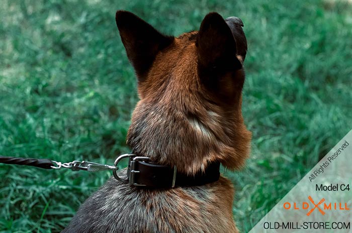 German Shepherd Collar with D-Ring for Leash