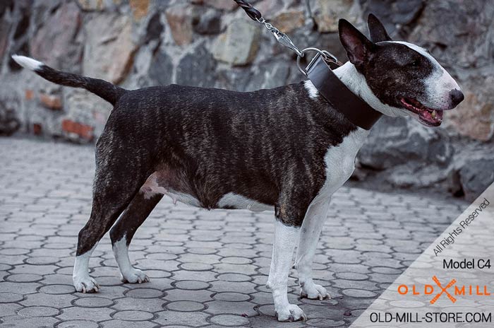 Multifunctional Bull Terrier Leather Collar