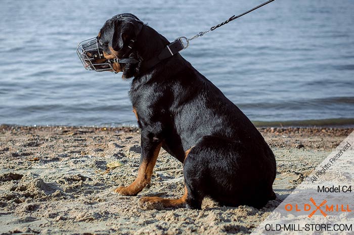 Rottweiler Leather Dog Smooth Collar with Buckle like Closure