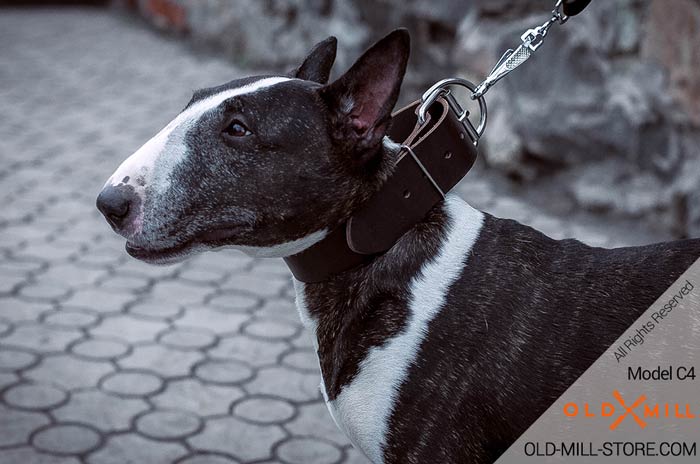 Simple Design Wide Leather Bull Terrier Collar