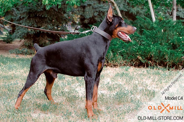 Wide Adjustable Leather Doberman Collar