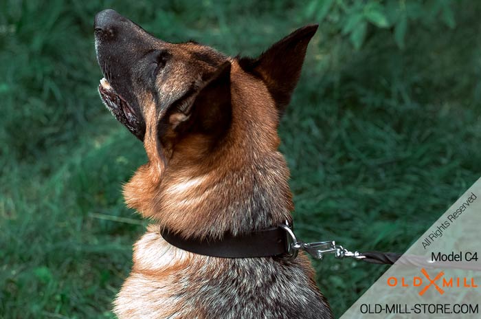 Adjustable Leather German Shepherd Collar