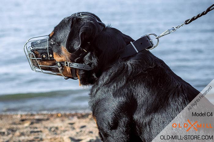 Wide Classic Collar for Rottweiler