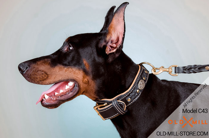 Handcrafted Doberman Collar