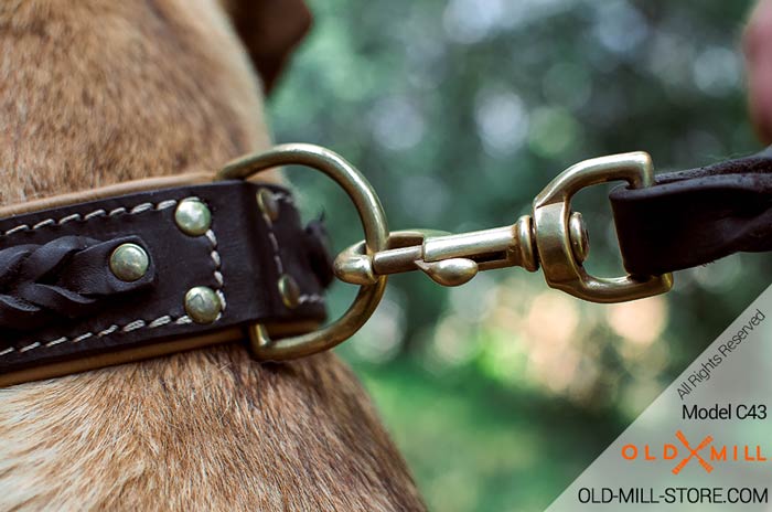 Padded LeatherDog Collar with D-Ring
