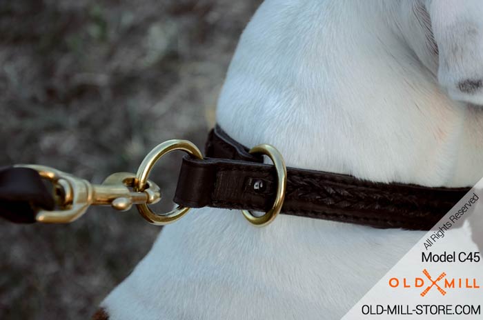 Dog Choke Collar with O-Rings