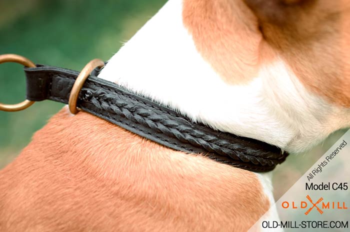 Brass Rings on 2ply Leather Amstaff Collar