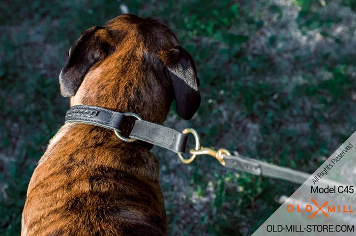 Brass Rings on Choke Leather Boxer Collar