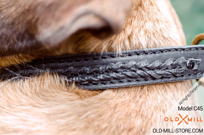 Braided Leather Cane Corso Collar