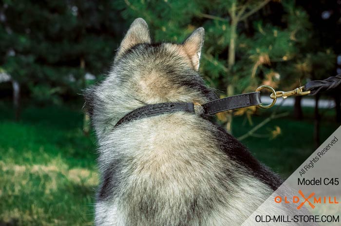 Brass Rings on 2ply Leather Husky Collar