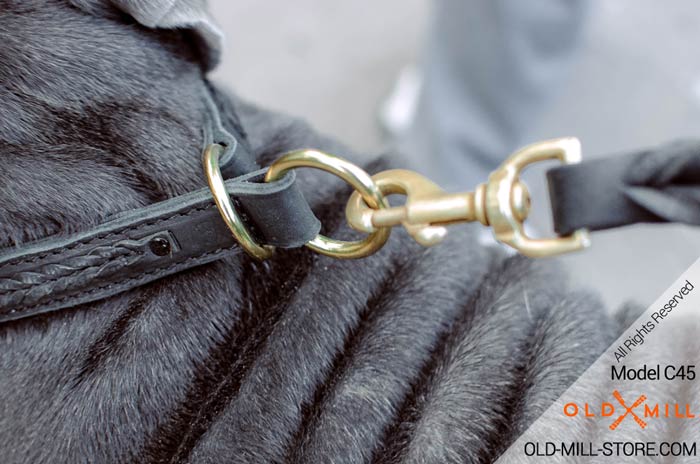 Brass Rings on 2ply Leather Mastiff Collar