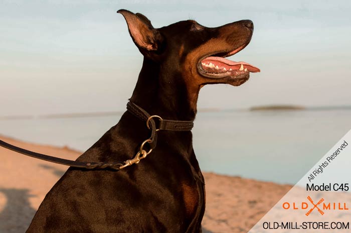 2ply Choke Dog Collar for Doberman