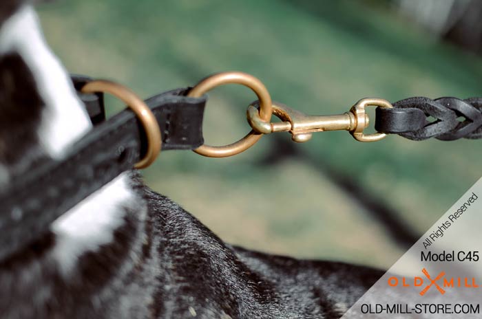 Brass Rings on Choke Leather Dog Collar