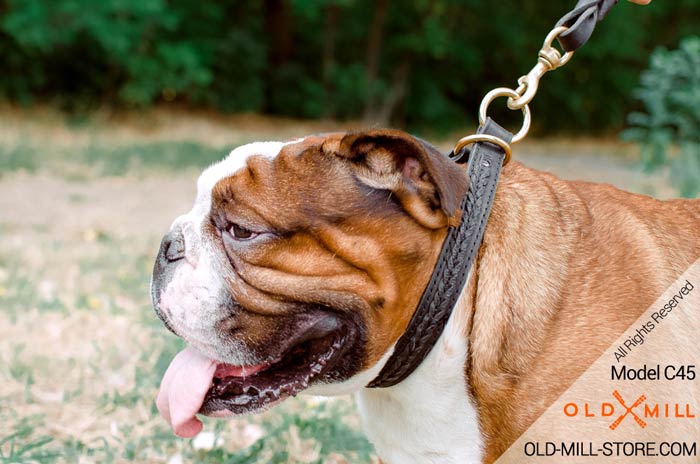 Bulldog Choke Collar with O-Rings