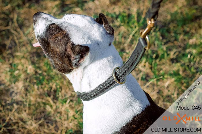 Pitbull Choke Collar with O-Rings