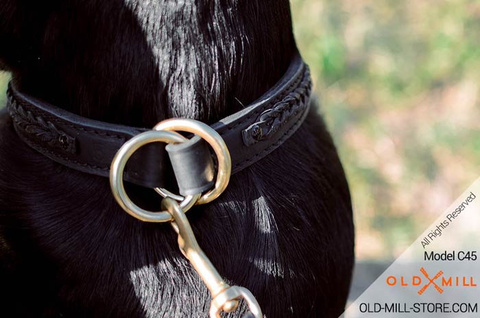 Brass Rings on 2ply Leather Labrador Collar