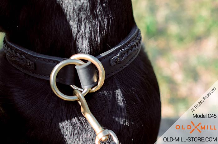 Brass Rings on 2ply Leather Labrador Collar