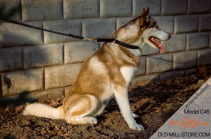 Braided Leather Husky Collar