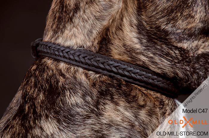 Dog Collar with Braided Design