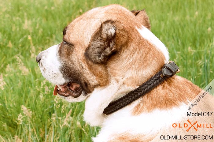 2ply Leather Central Asian Shepherd Collar