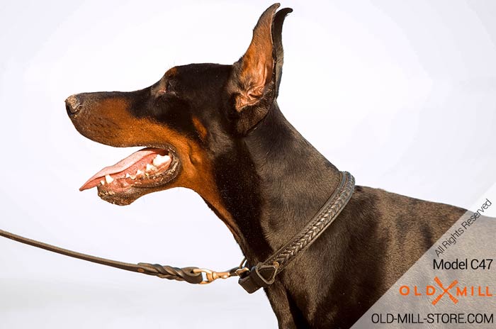 Double Leather Doberman  Collar