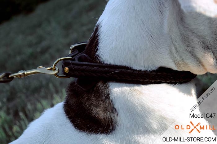 2ply Leather Bulldog Collar with D-Ring