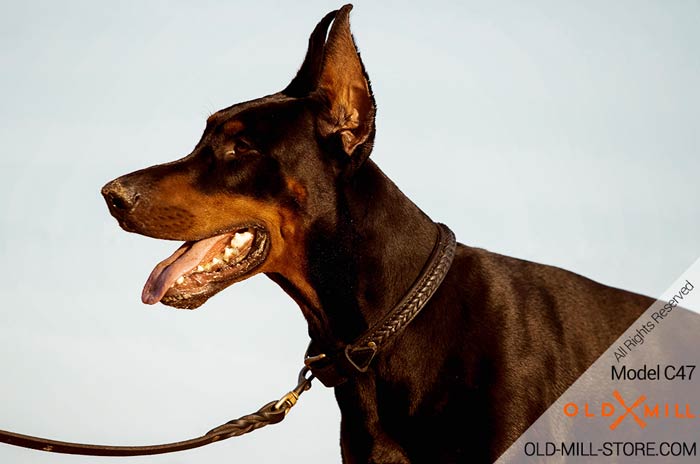 Leather Doberman Collar with Braids