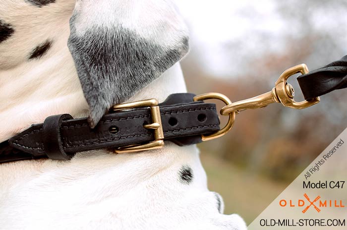 2ply Leather Great Dane Collar with D-Ring
