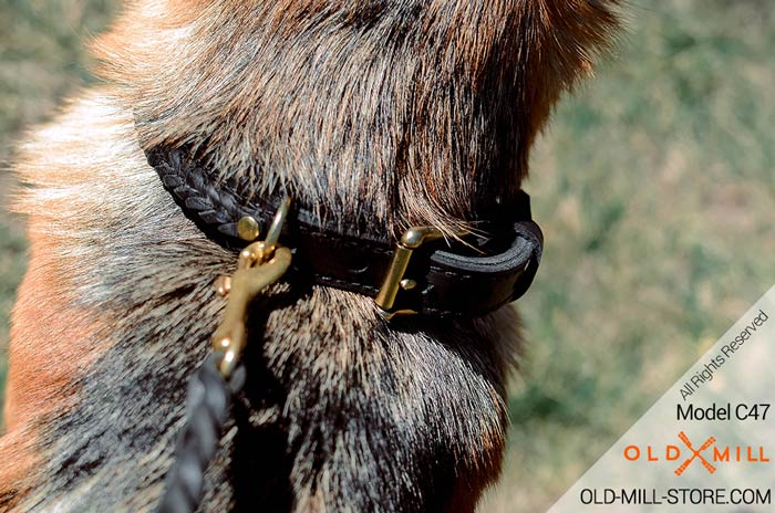 Braided 2ply Leather Dog Collar