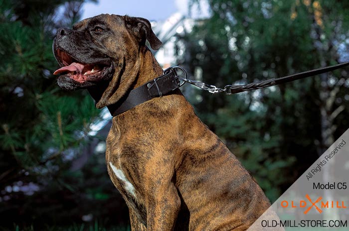 Handmade Extra Wide Collar for Boxer Training