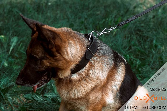 Extra Wide Collar for German Shepherd Training